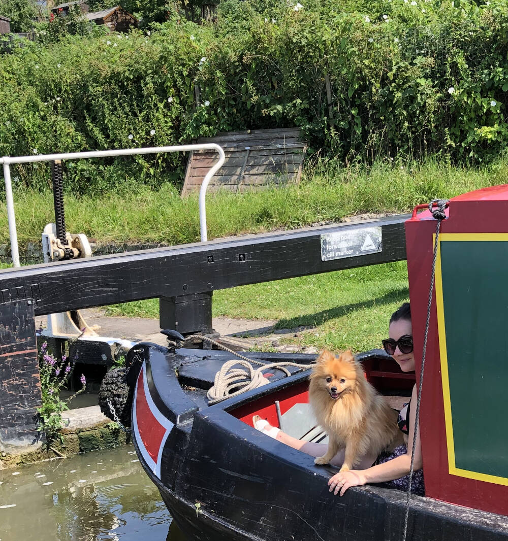 dog friendly boat tour