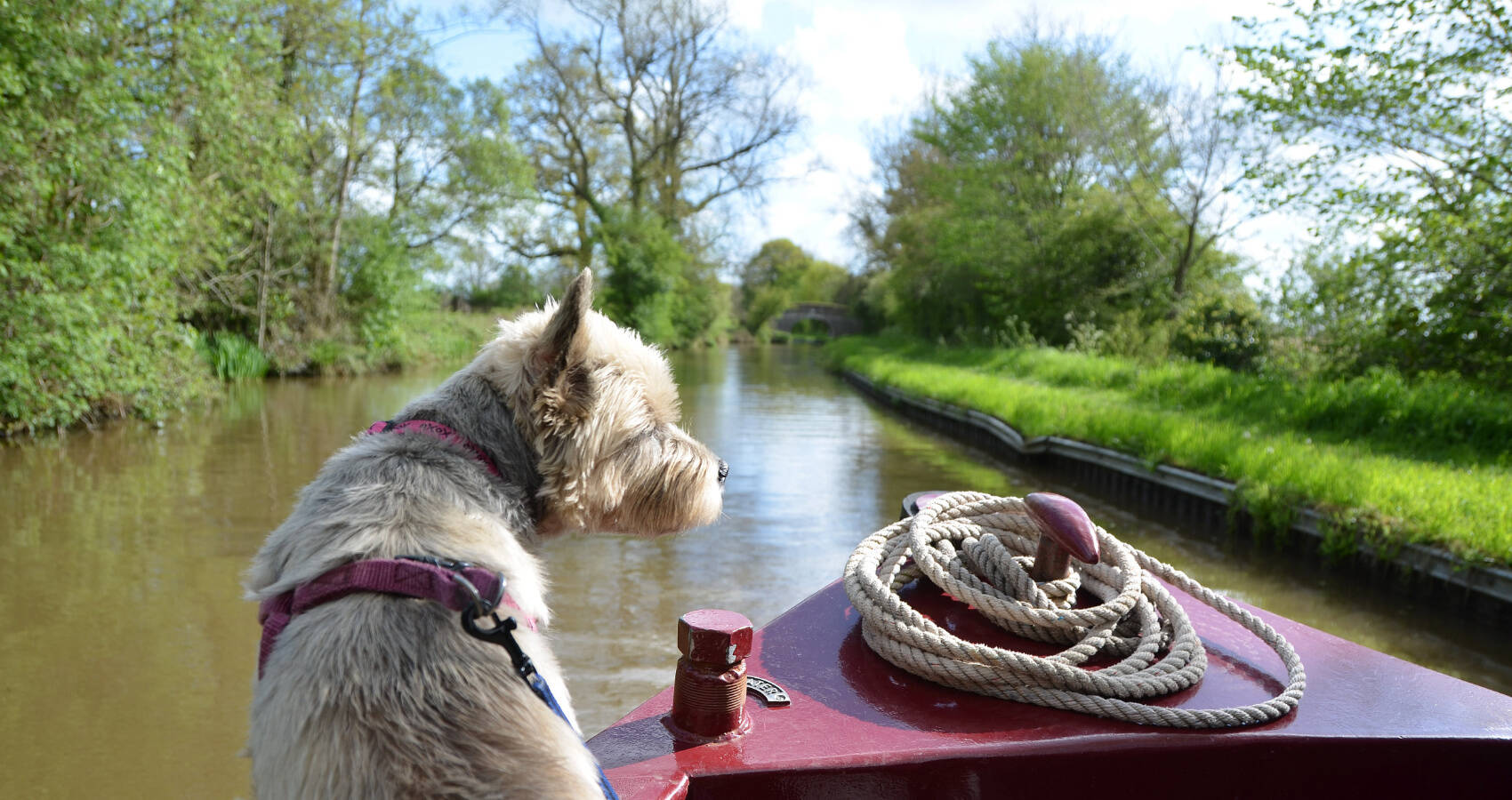 Dog-Friendly Routes